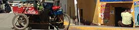 Proyectos de cooperaci�n t�cnica